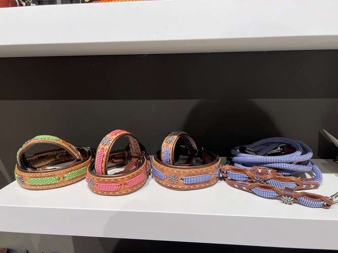 Hundeauslaufgebiet-hundskerle-Bild