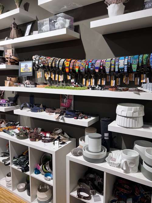 Hundeauslaufgebiet-hundskerle-Bild