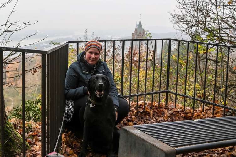 Hundeauslaufgebiet-Tierphysiotherapie & mehr-Bild