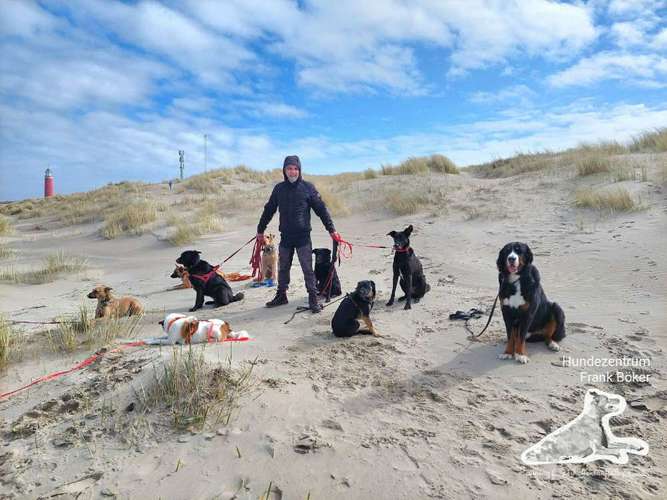 Hundeauslaufgebiet-Hundezentrum Frank Böker Wuppertal-Bild