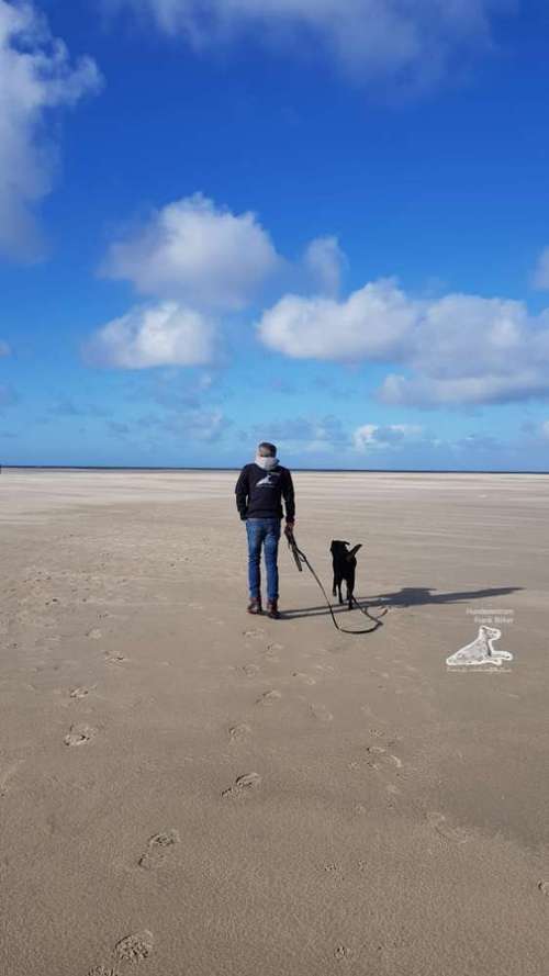 Hundeauslaufgebiet-Hundezentrum Frank Böker Wuppertal-Bild