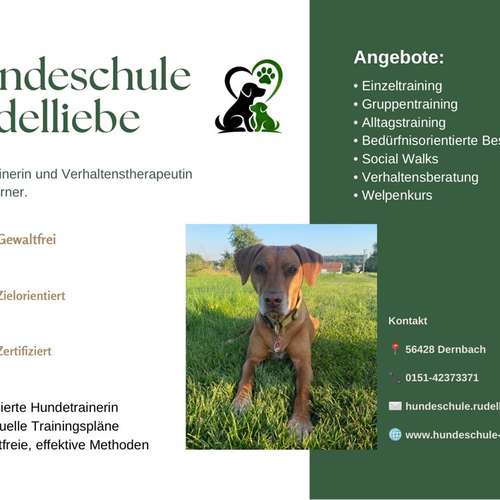 Hundeauslaufgebiet-Hundeschule Rudelliebe-Bild
