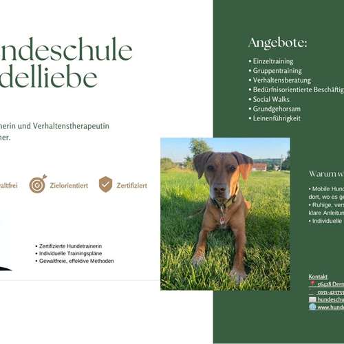 Hundeauslaufgebiet-Hundeschule Rudelliebe-Bild