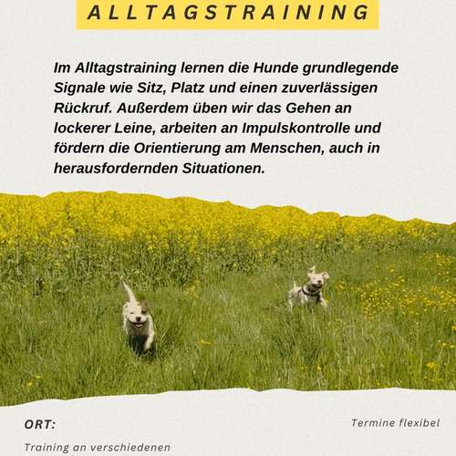 Hundeauslaufgebiet-Hundeschule Rudelliebe-Bild