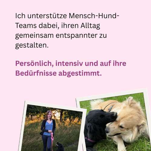 Hundeauslaufgebiet-Die Pfotenschule-Bild