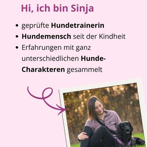 Hundeauslaufgebiet-Die Pfotenschule-Bild