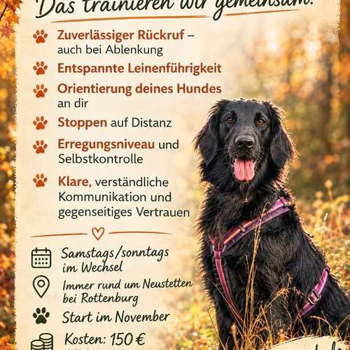 Hundeauslaufgebiet-Die Pfotenschule-Bild