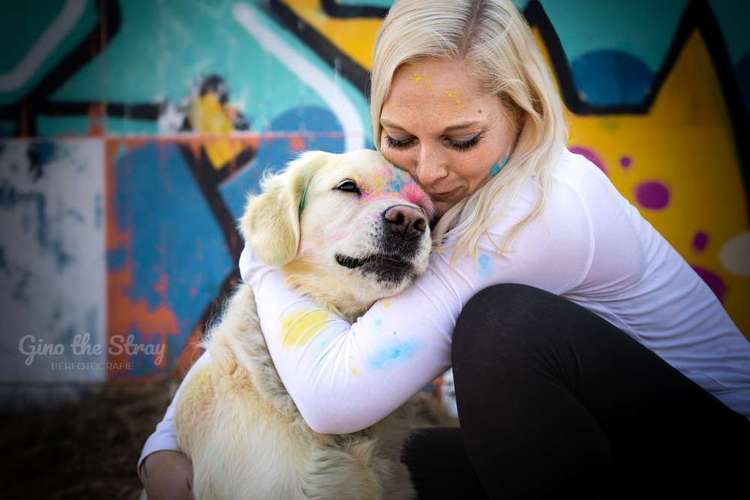 Hundeauslaufgebiet-Gino the Stray | Tierfotografie-Bild