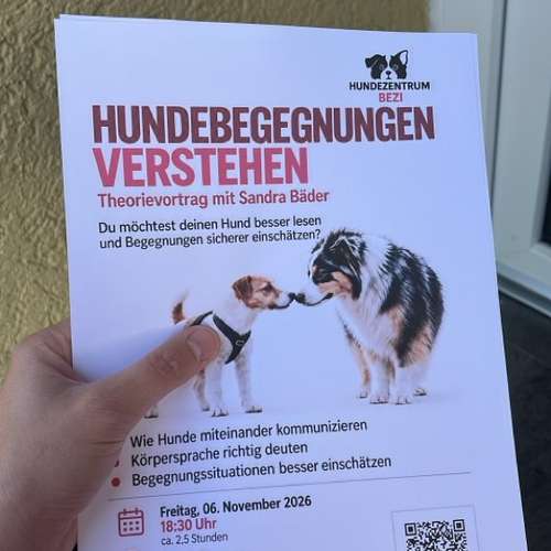 Hundeauslaufgebiet-Hundezentrum BeZi-Bild