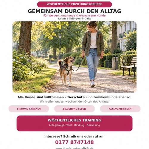 Hundeauslaufgebiet-Hundezentrum BeZi-Bild