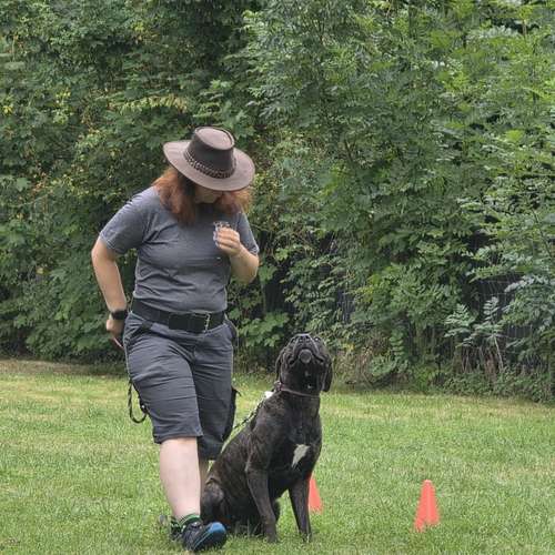 Hundeauslaufgebiet-Hundecoach Melly - Mobil & Individurll-Bild