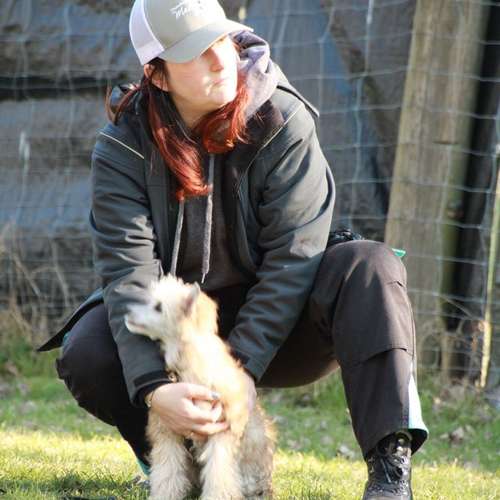 Hundeauslaufgebiet-Hundecoach Melly - Mobil & Individurll-Bild
