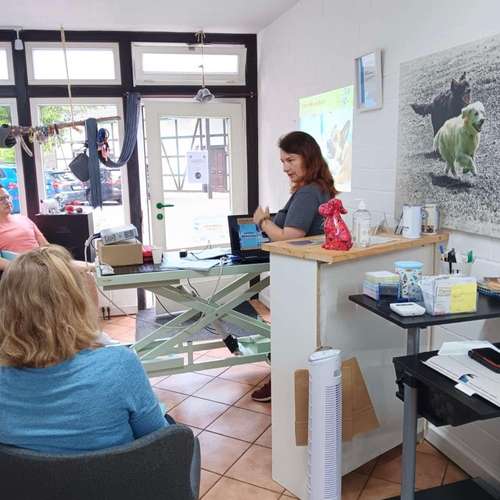 Hundeauslaufgebiet-Hundecoach Melly - Mobil & Individurll-Bild