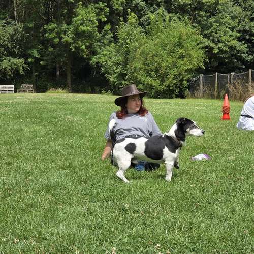 Hundeauslaufgebiet-Hundecoach Melly - Mobil & Individurll-Bild