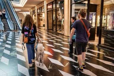 Hundeauslaufgebiet-Hundecoach Melly - Mobil & Individurll-Bild