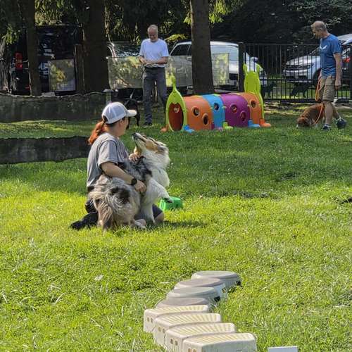 Hundeauslaufgebiet-Hundecoach Melly - Mobil & Individurll-Bild