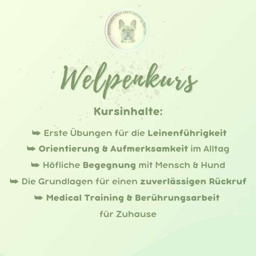 Hundeauslaufgebiet-Positives Hundetraining Berlin-Bild