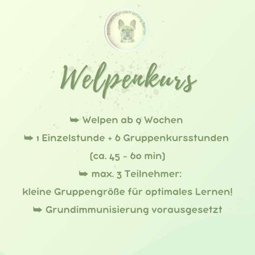 Hundeauslaufgebiet-Positives Hundetraining Berlin-Bild