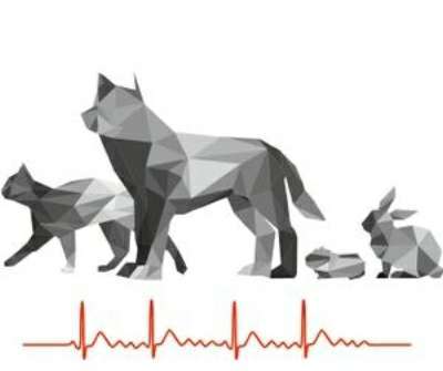 Hundeauslaufgebiet-Tierarztpraxis Lämmerspiel-Bild