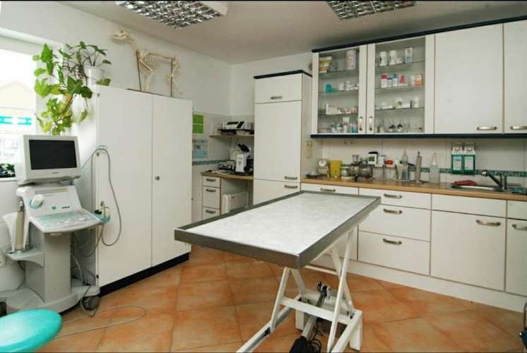 Hundeauslaufgebiet-Dr. Julia Frangipani-Bild