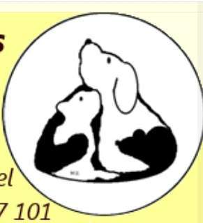 Hundeauslaufgebiet-Harald Wenzel-Bild