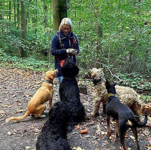 Hundeauslaufgebiet-AlohaDogs-Bild