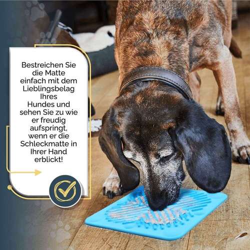 Hundeauslaufgebiet-HappyHound-Bild