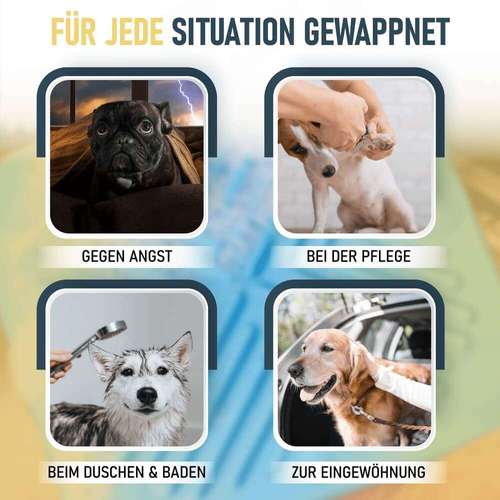 Hundeauslaufgebiet-HappyHound-Bild