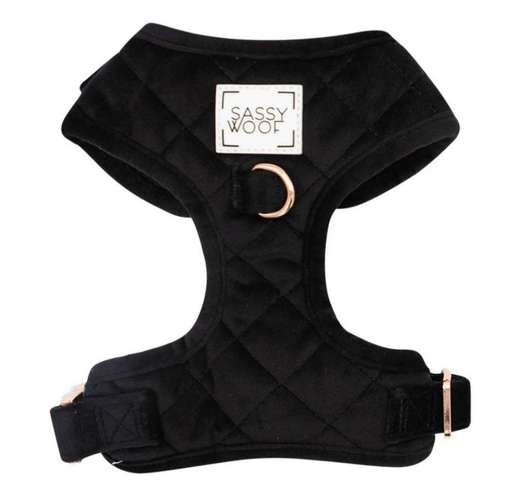 Hundeauslaufgebiet-Pfoetchen Wunder-Bild