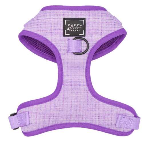 Hundeauslaufgebiet-Pfoetchen Wunder-Bild