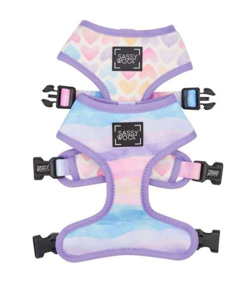 Hundeauslaufgebiet-Pfoetchen Wunder-Bild