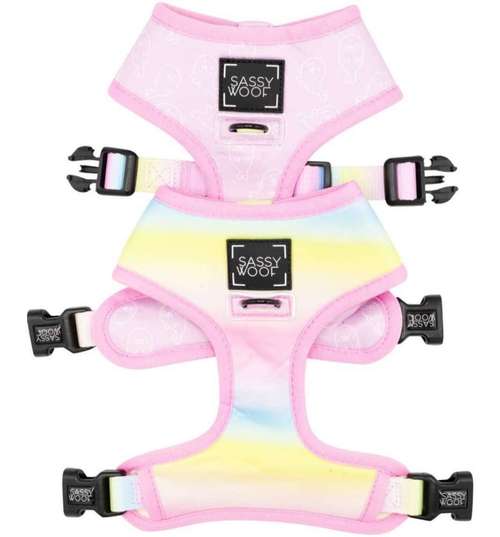 Hundeauslaufgebiet-Pfoetchen Wunder-Bild