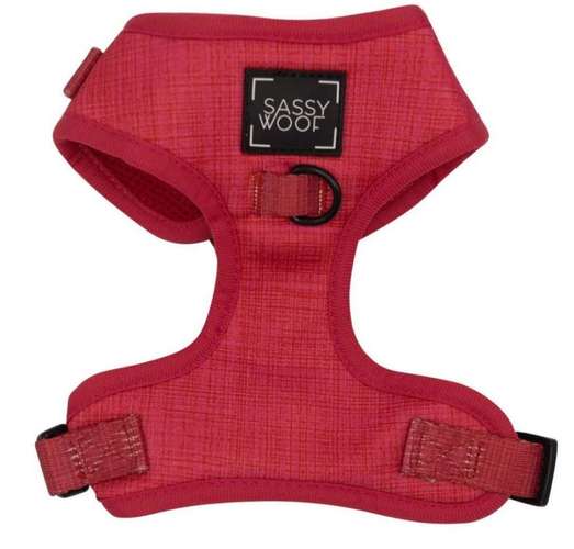 Hundeauslaufgebiet-Pfoetchen Wunder-Bild