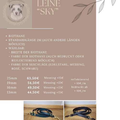 Hundeauslaufgebiet-Remamber-Bild