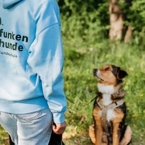 Hundeauslaufgebiet-Die Funkenhunde-Bild
