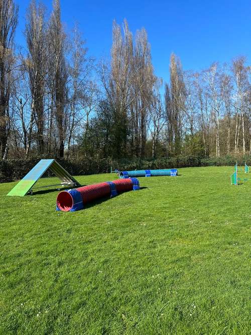 Hundeauslaufgebiet-Agitreff Ruhr SV OG Bochum Hordel-Heide e.V.-Bild