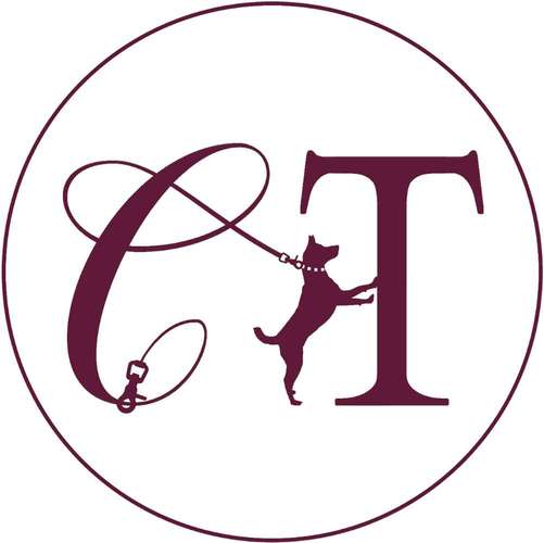 Hundeauslaufgebiet-Canine Training | Bianca Materne-Bild