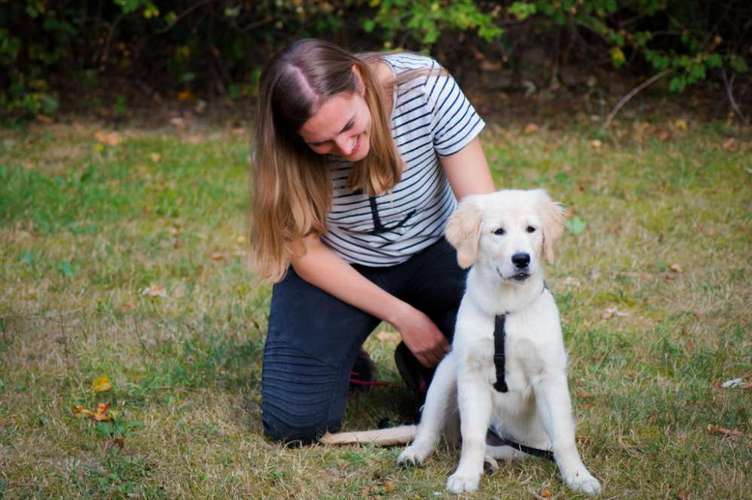 Hundeauslaufgebiet-Canine Training | Bianca Materne-Bild