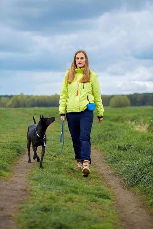 Hundeauslaufgebiet-Canine Training | Bianca Materne-Bild