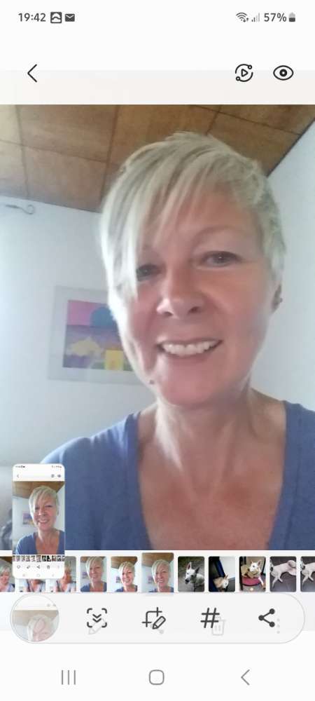 Hundeauslaufgebiet-Rita Hasselkuss-Bild