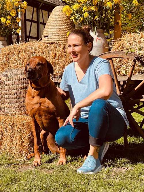 Hundeauslaufgebiet-Mobile-Hundeerziehung-Bild