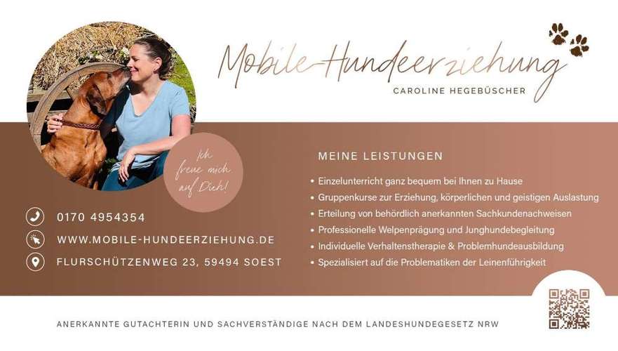 Hundeauslaufgebiet-Mobile-Hundeerziehung-Bild