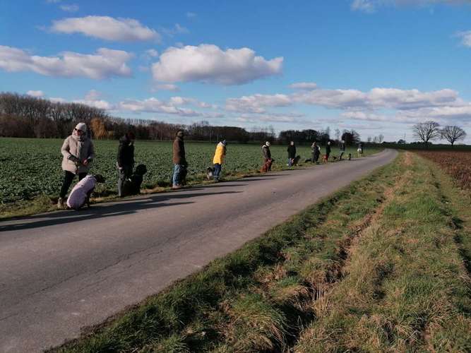 Hundeauslaufgebiet-Mobile-Hundeerziehung-Bild
