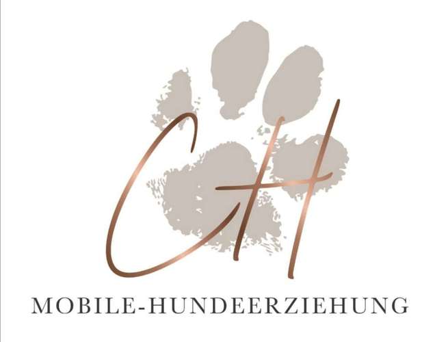 Hundeauslaufgebiet-Mobile-Hundeerziehung-Bild
