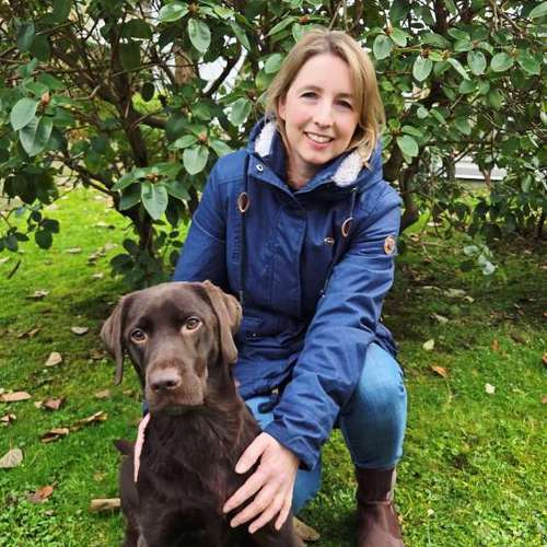 Hundeauslaufgebiet-Elb-Snuten Ernährungsberatung für Hunde-Bild