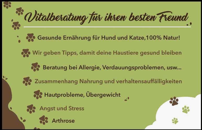 Hundeauslaufgebiet-Hundeschule RelativHund-Bild