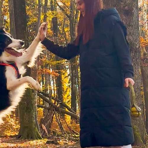 Hundeauslaufgebiet-Gina-Bild