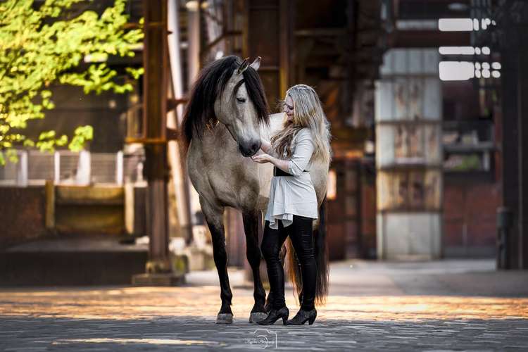 Hundeauslaufgebiet-Angelina Photography Art-Bild