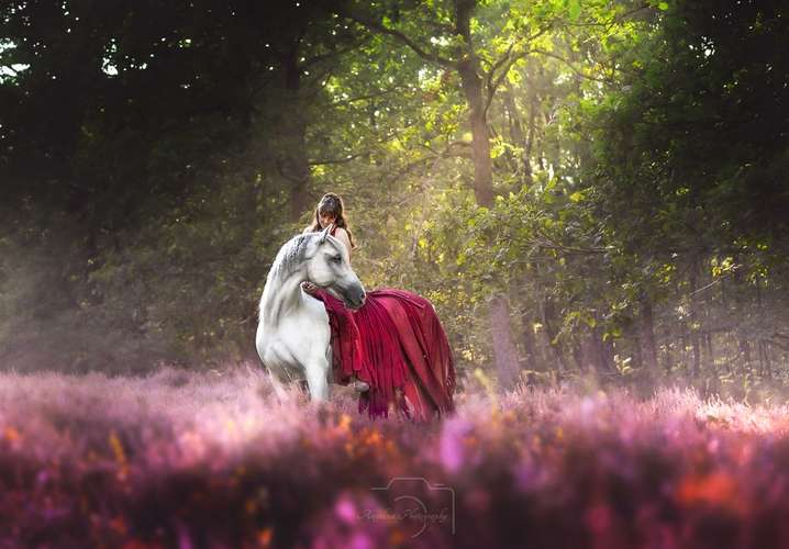 Hundeauslaufgebiet-Angelina Photography Art-Bild