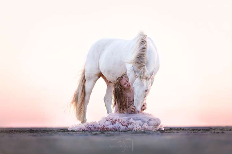 Hundeauslaufgebiet-Angelina Photography Art-Bild